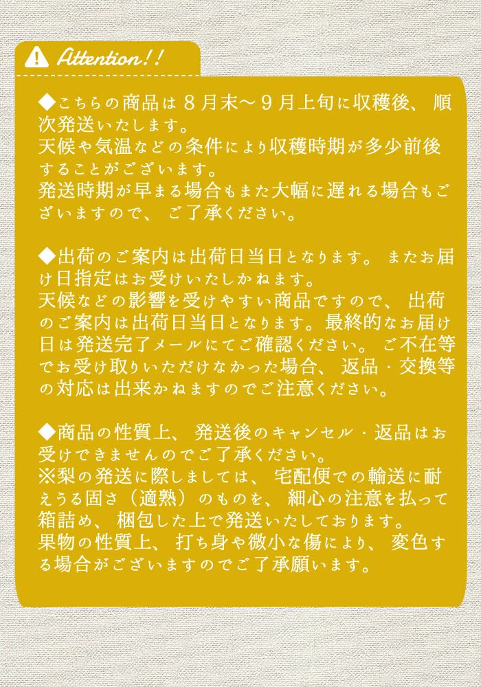予約開始です！8月末から9月上旬発送【頑張って送料無料！】金子さん夫妻が作る新潟県産青梨！秋麗梨3kg（10～12玉）緻密な果肉でおいしい梨！※生鮮果実のため商品代引き利用不可【楽ギフ_のし】【楽ギフ_のし宛書】