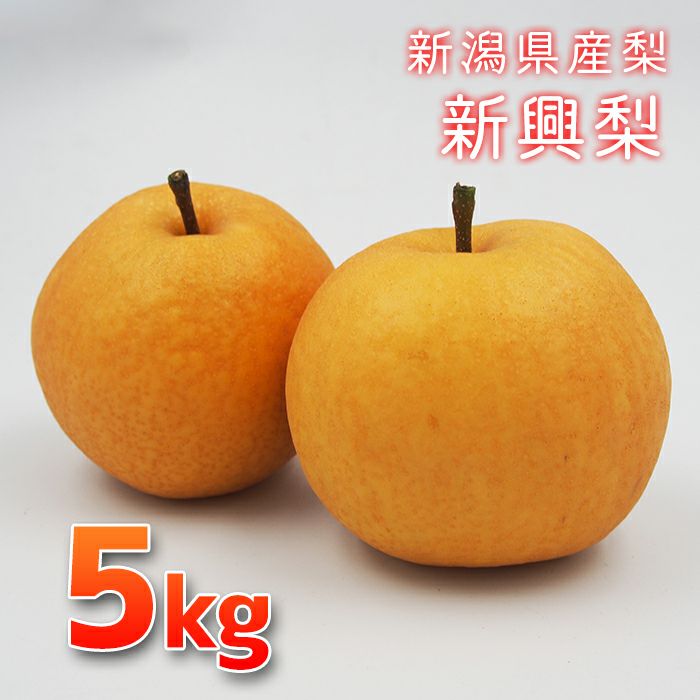 新潟の肥沃な大地が生んだコシヒカリ、フルーツ、野菜 | 村の鍛冶屋本店
