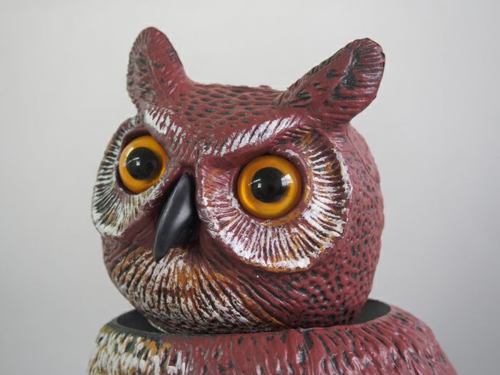 【レビューを書いて送料無料！】鳥追い首振りフクロウ44cm驚異な目玉で威嚇！本物そっくりでどんな鳥もびっくり！