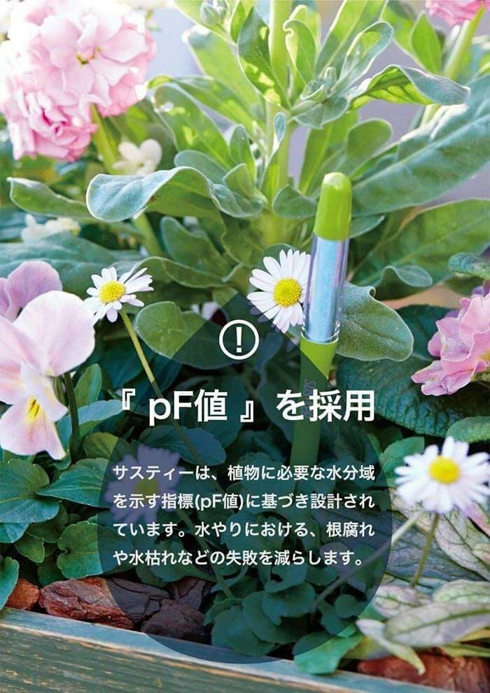 SUSTEE（サスティー）水やりチェッカー＜Mサイズ＞白／緑