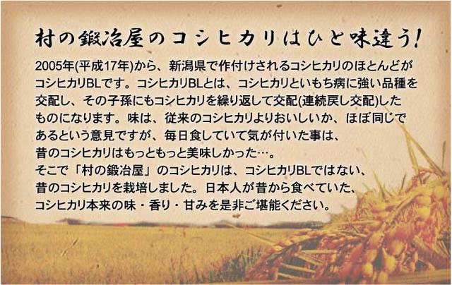 田辺さん家の新潟県産コシヒカリ100％