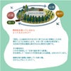 日本の森を育てる割箸