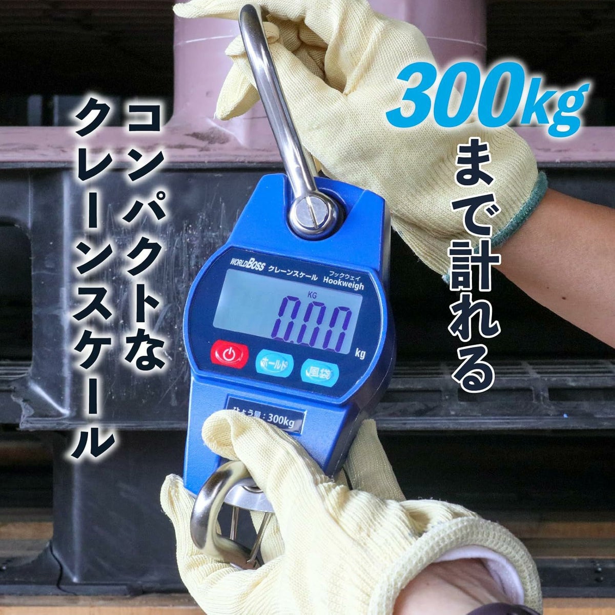 DCS-300